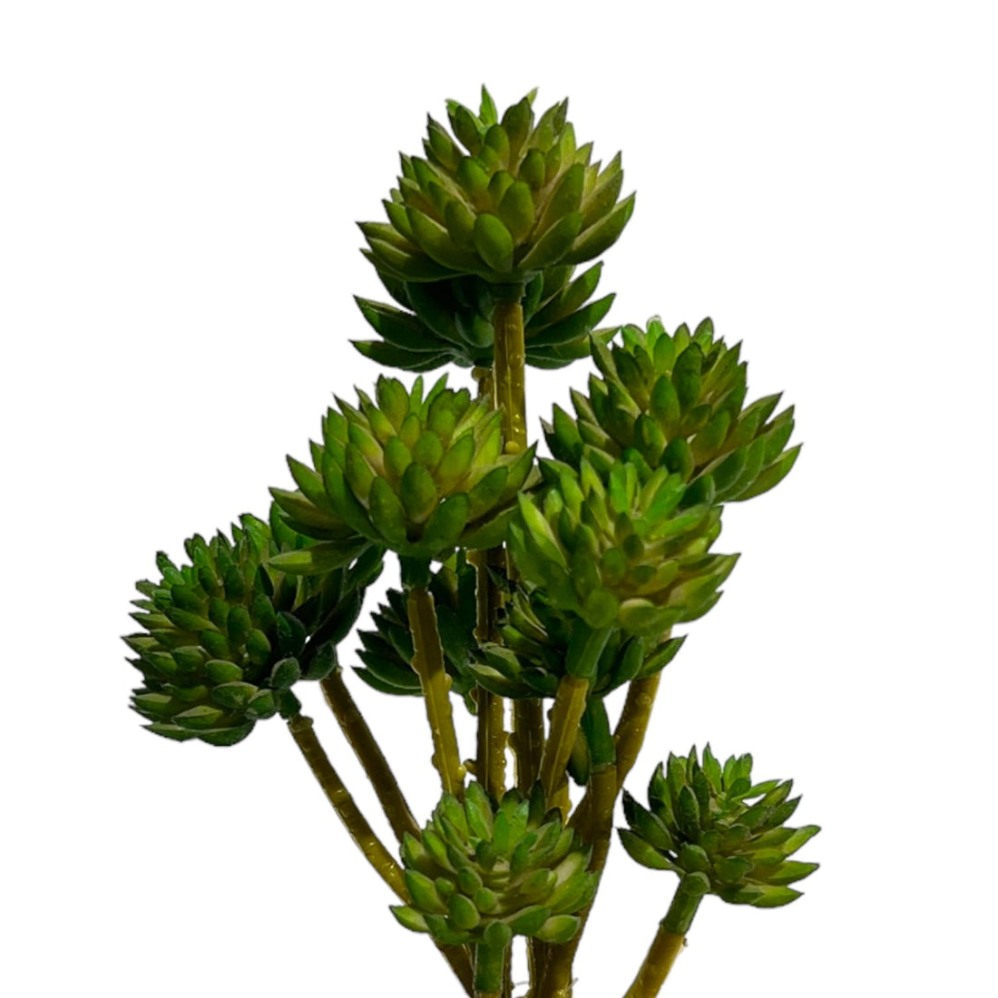 Artificial Flowers at Modiano.pk: Bringing Beauty to Your Space Without the Hassle