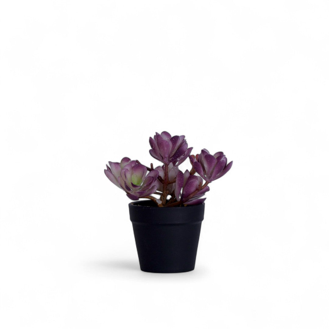Leaf Table Plant