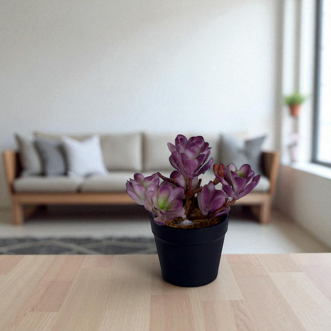 Leaf Table Plant