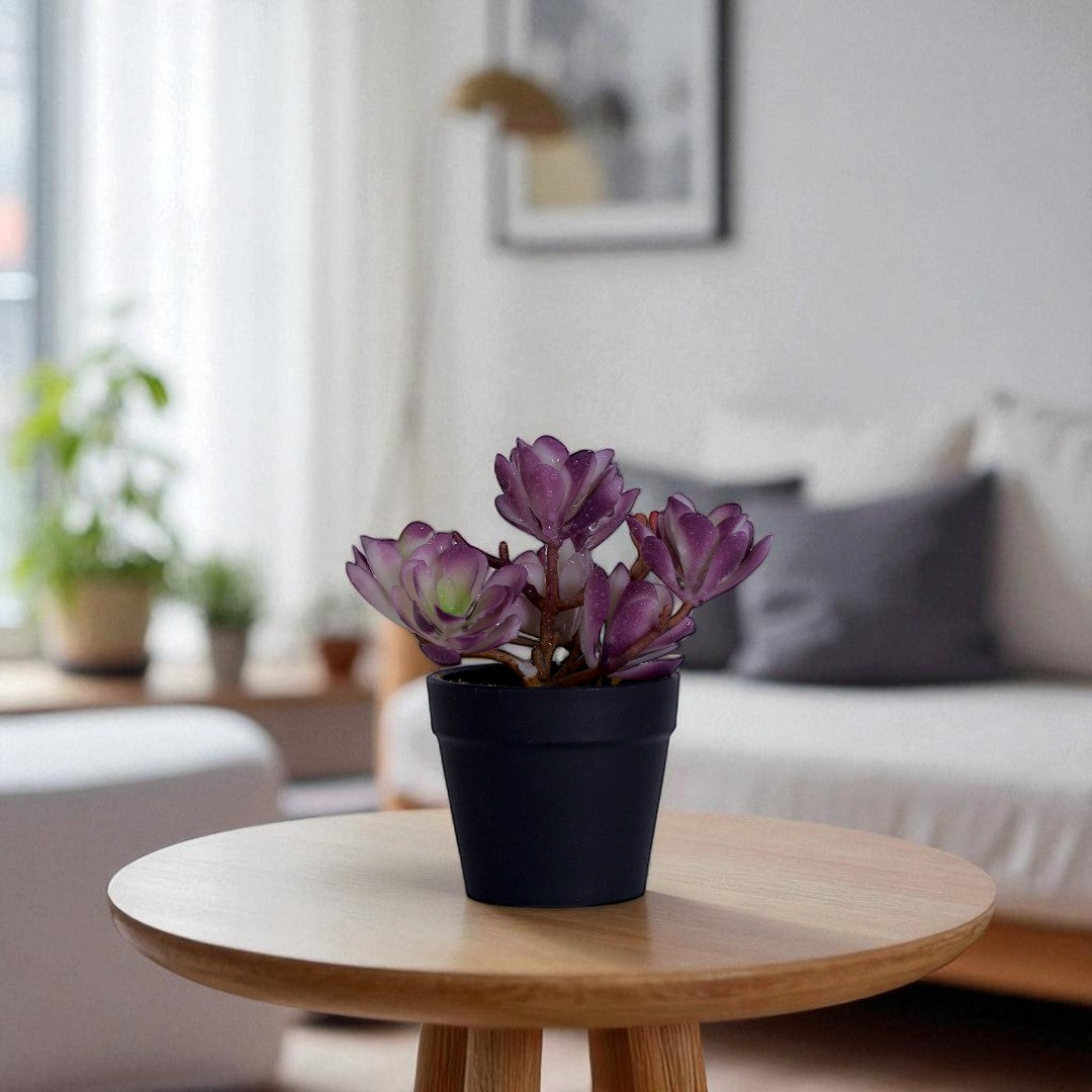 Leaf Table Plant