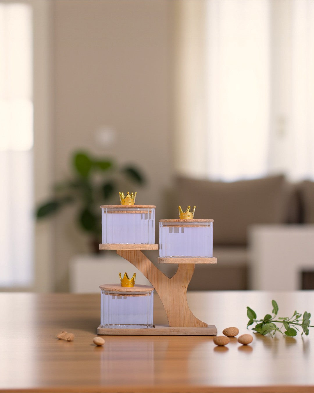 Jar With Wood Stand SZ006