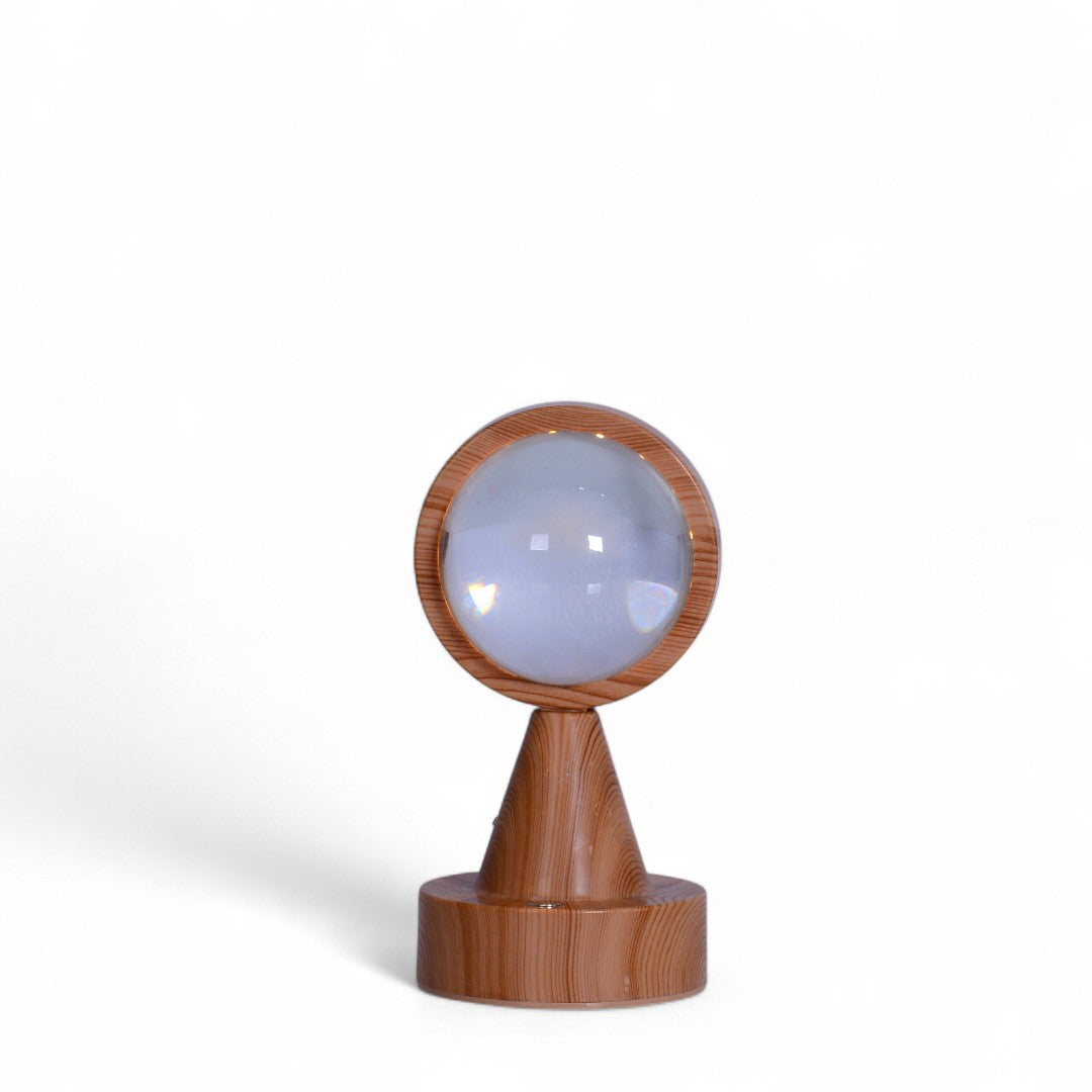 LED Globe Decor