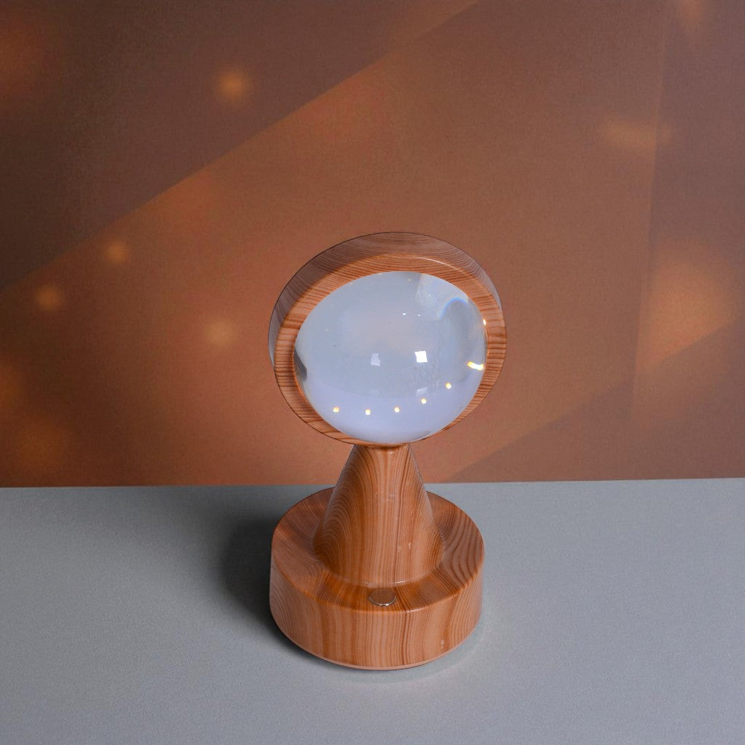 LED Globe Decor