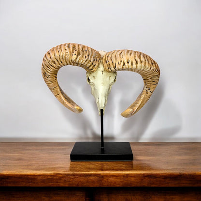 Markhor Skull SCULPTURE