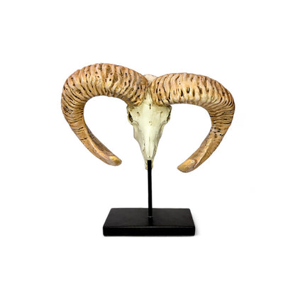 Markhor Skull SCULPTURE