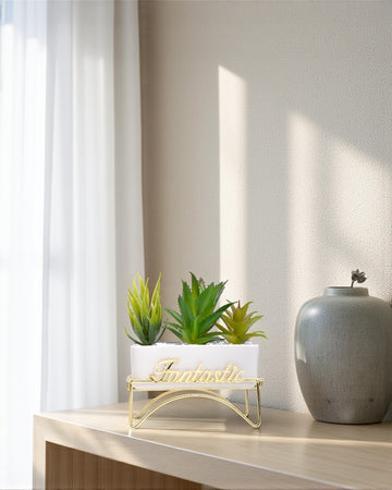 Planter Pot AMB 3+3