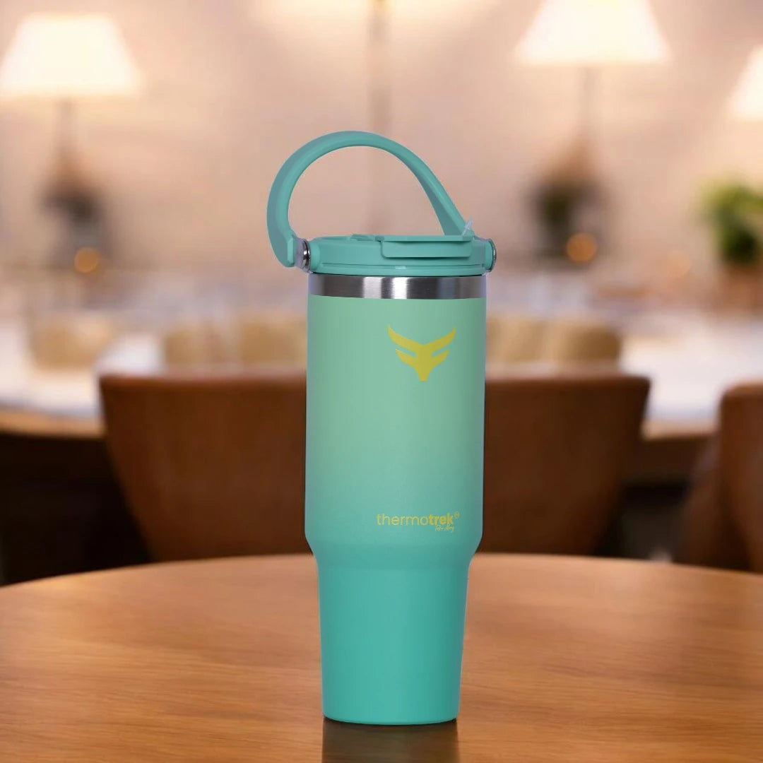 Insulated Tumbler with Handle and Straw