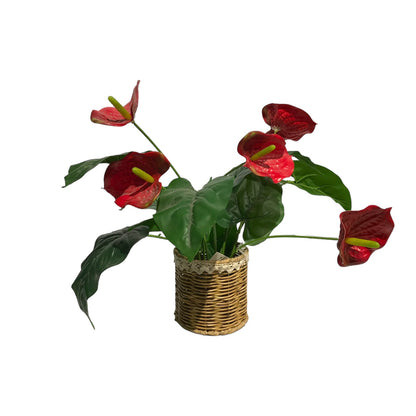 Tranquil Oasis Artificial Table Plant