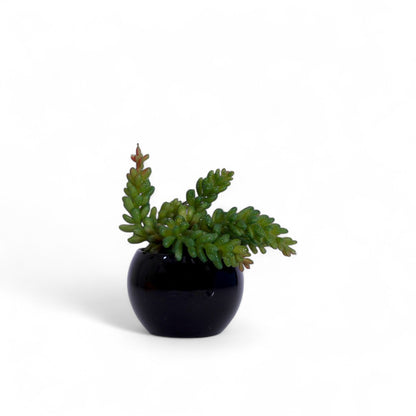 Artificial Flowers With Pot