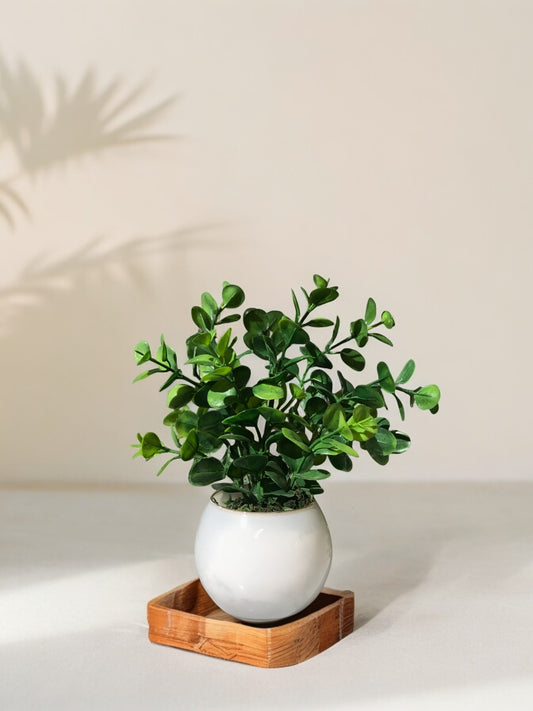 Artificial Green Plant|Living Room |Desktop Decor